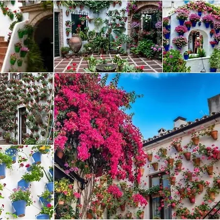 Centrico En El Casco Historico De * Córdoba